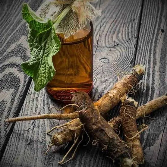 Nettle Root in TitanFlow Ingredients