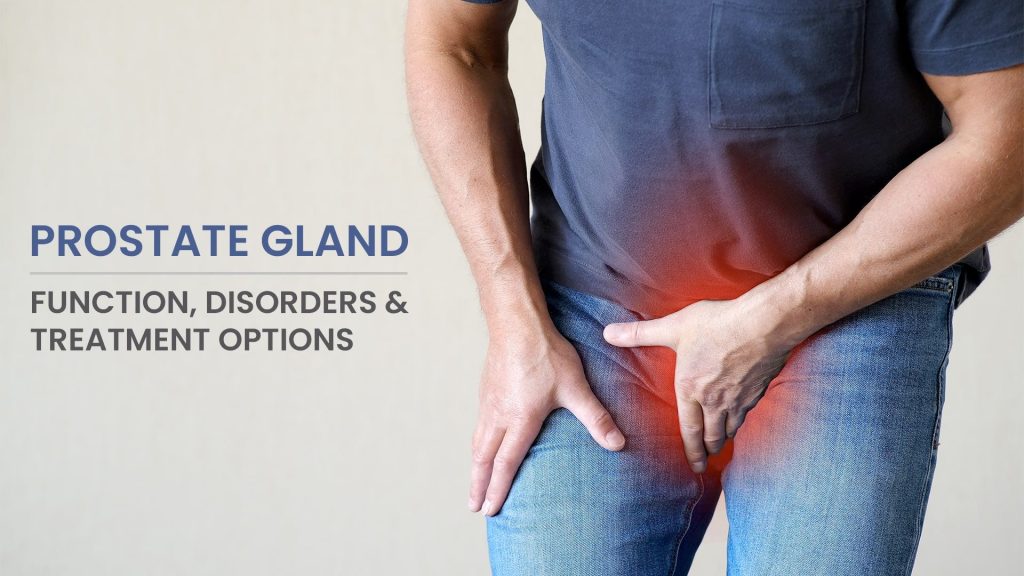 Prostate Support - ZenithLabs Titan Flow